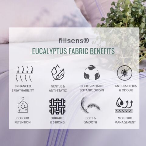 Okaliptüs Fırfırlı Top