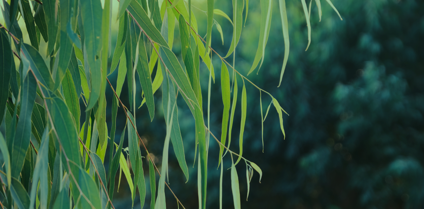 Size ve Dünyamıza Özen Gösteriyoruz