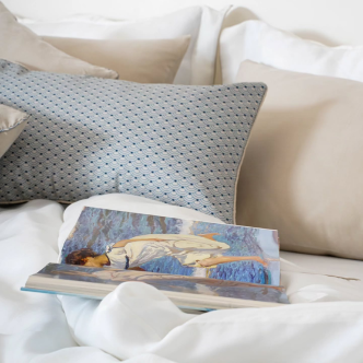 Throw ve Kırlentler